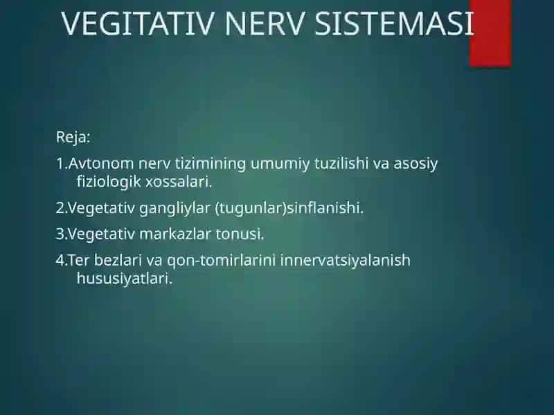VEGITATIV NERV SISTEMASI 2