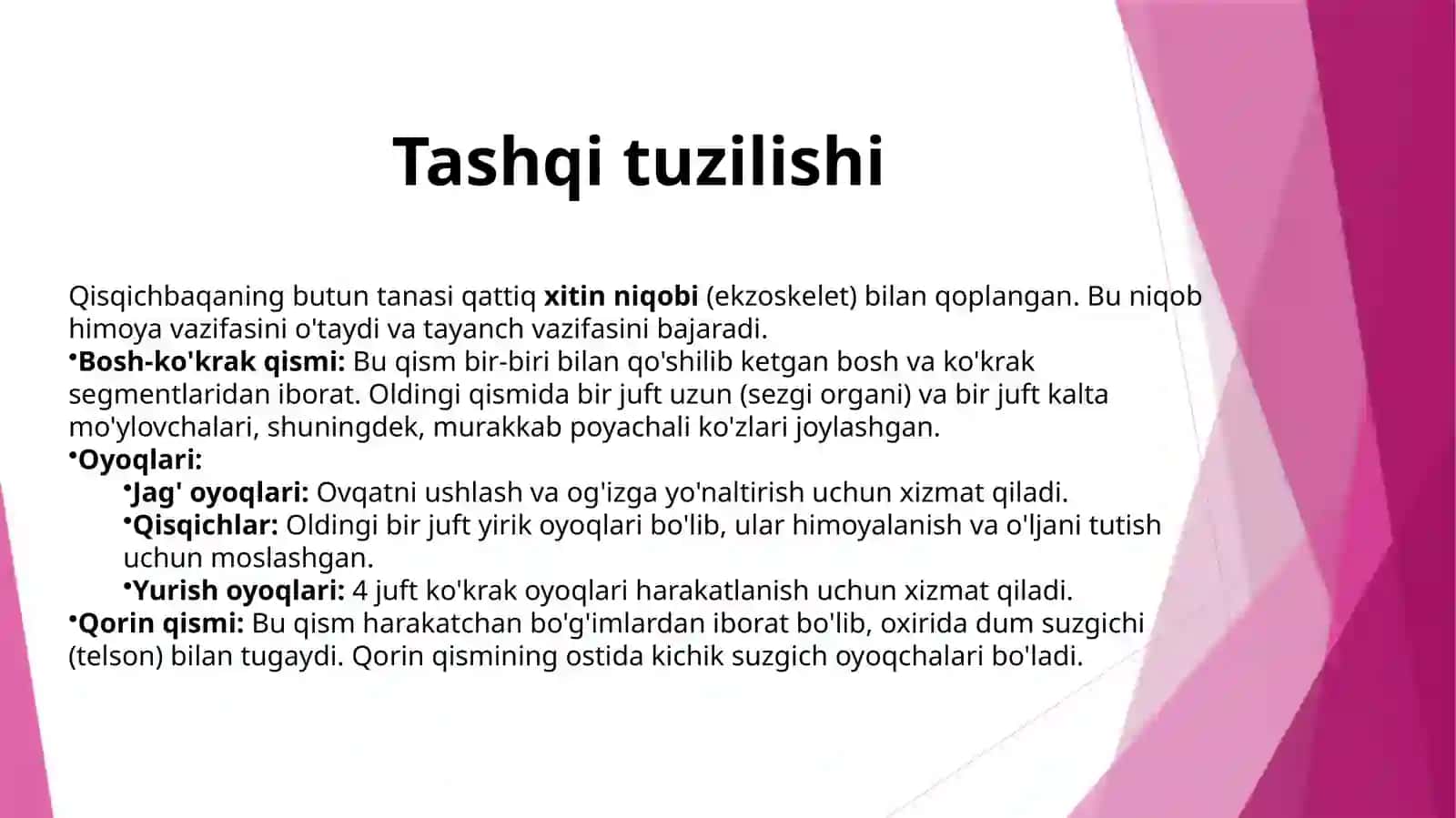 Daryoqisqichbaqasi 2