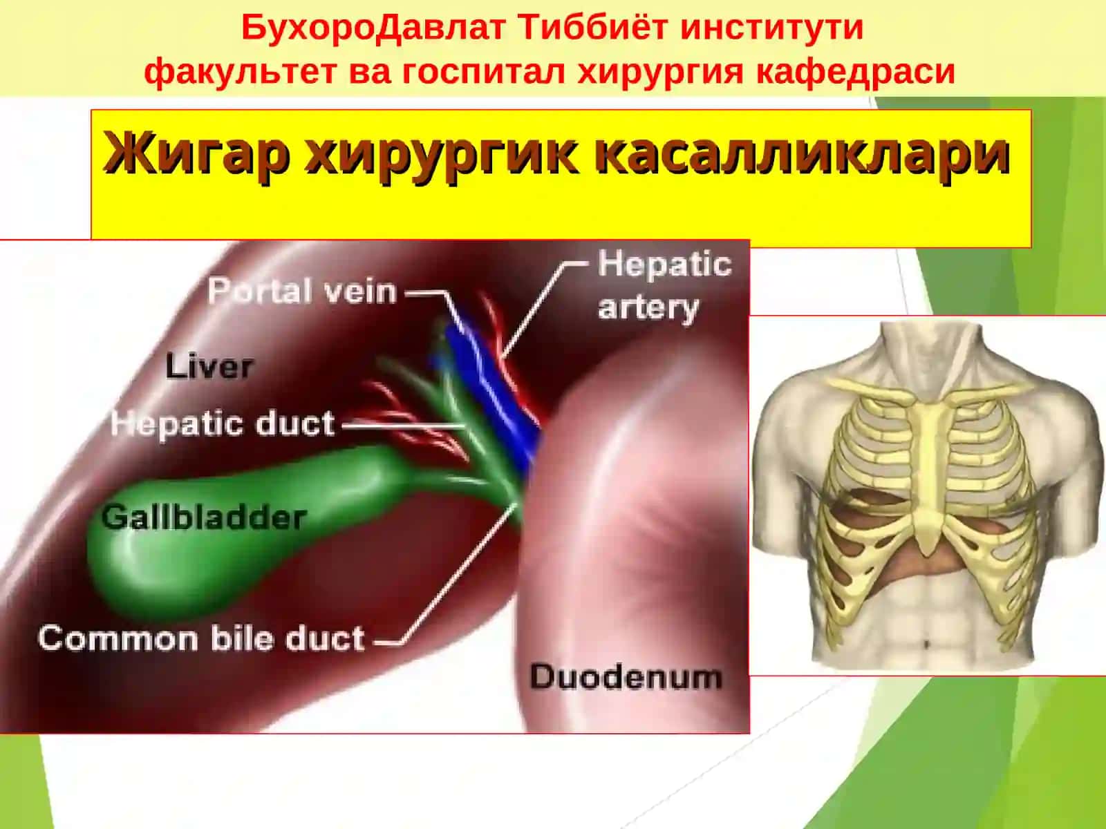 Jigar xirurgik kasalliklari 2