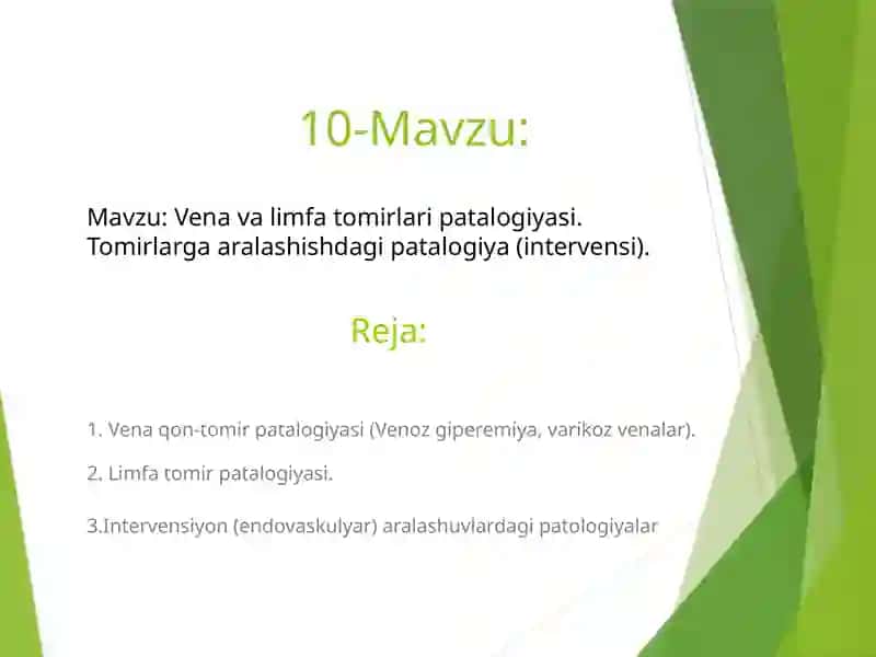 Mustaqil taʼlim 2