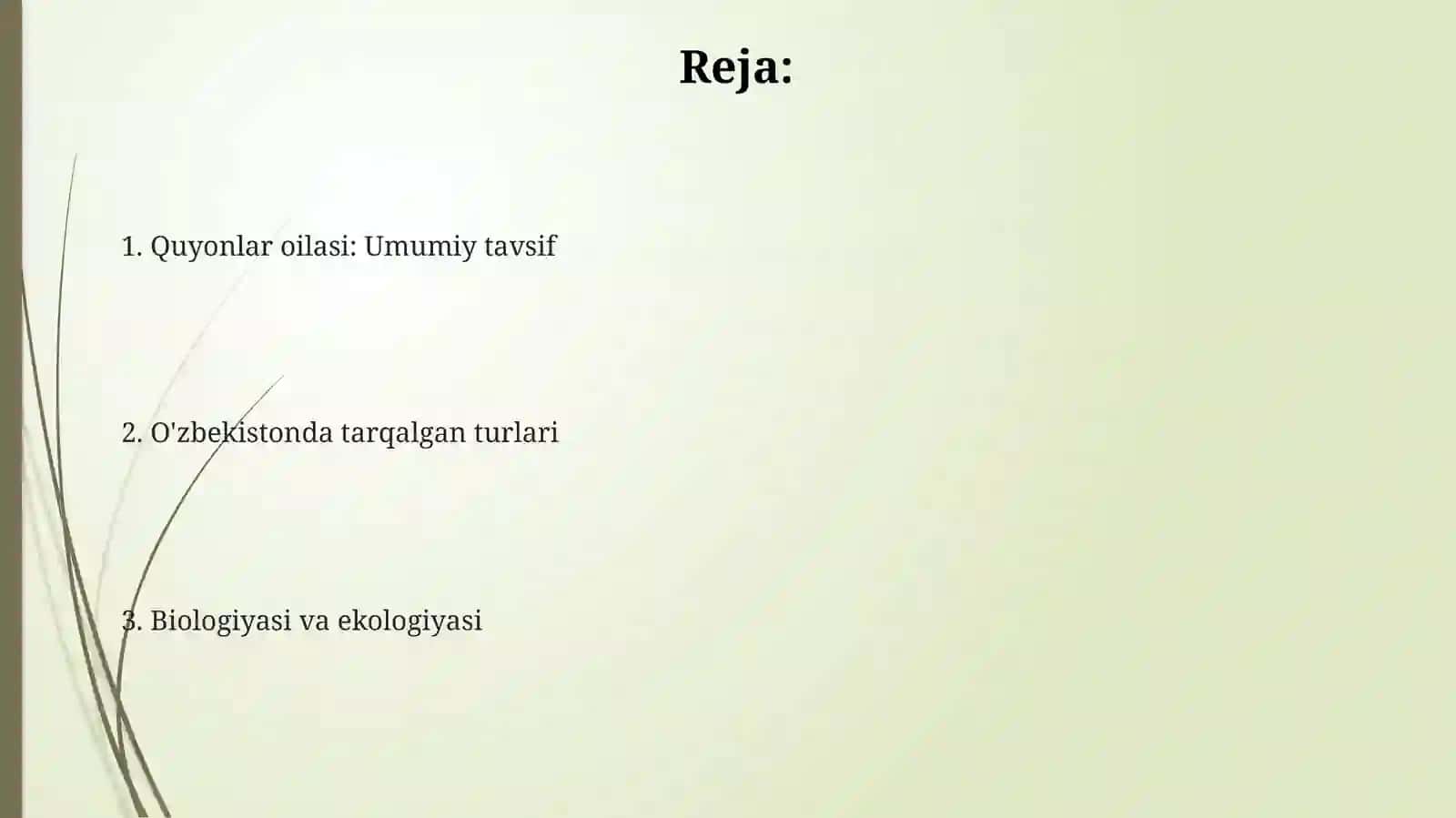 Quyonlar oilasi: Umumiy tavsif 2