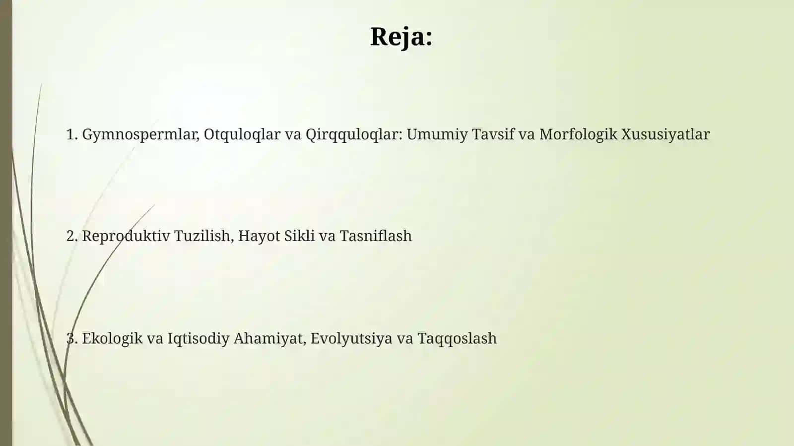 Gymnospermlar, Otquloqlar va Qirqquloqlar: Umumiy Tavsif va Morfologik Xususiyatlar 2