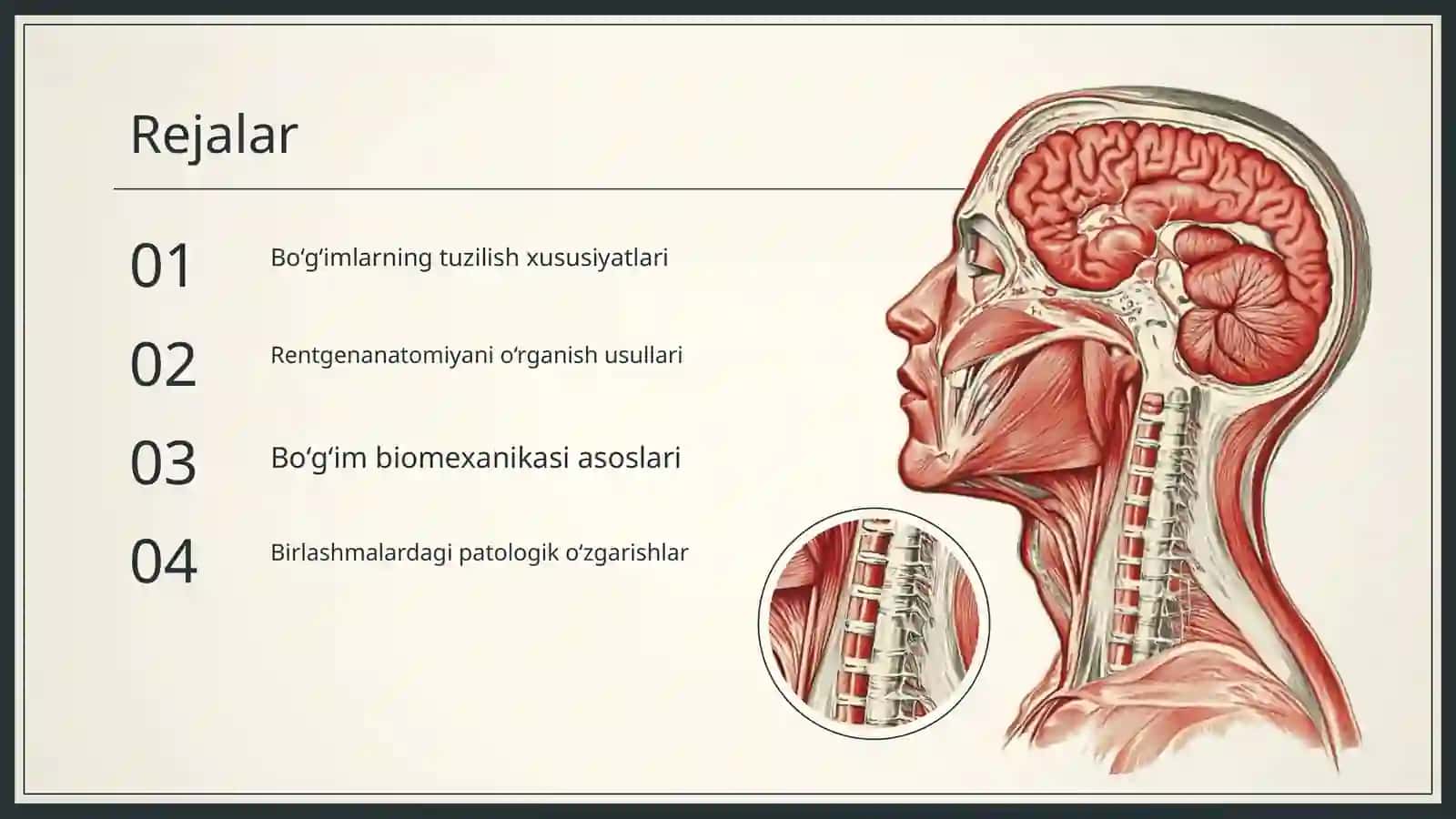 Bo‘g‘imlarning biomexanikasi. Birlashmalarning rentgenanatomiyasi 2