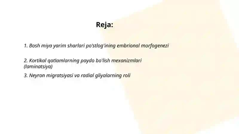Bosh miya yarim sharlari po'stlog'ining morfogenezi 2