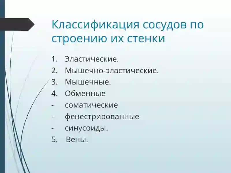 Патофизиология недостаточности сосудов 2