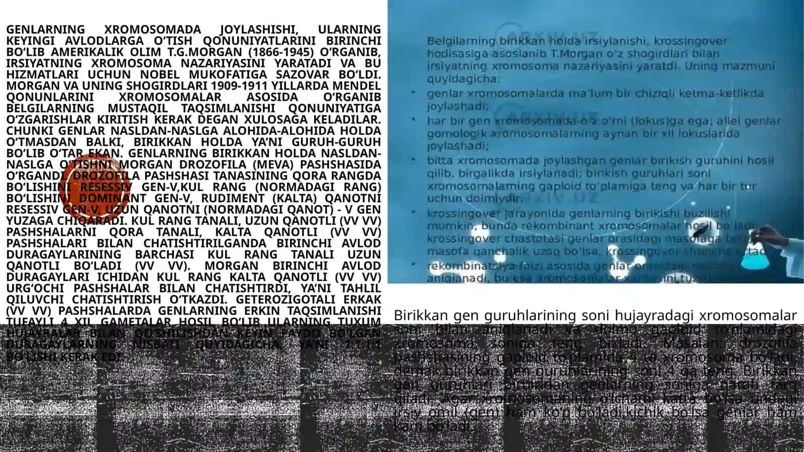 Mendel va Morgan tajribalari 2