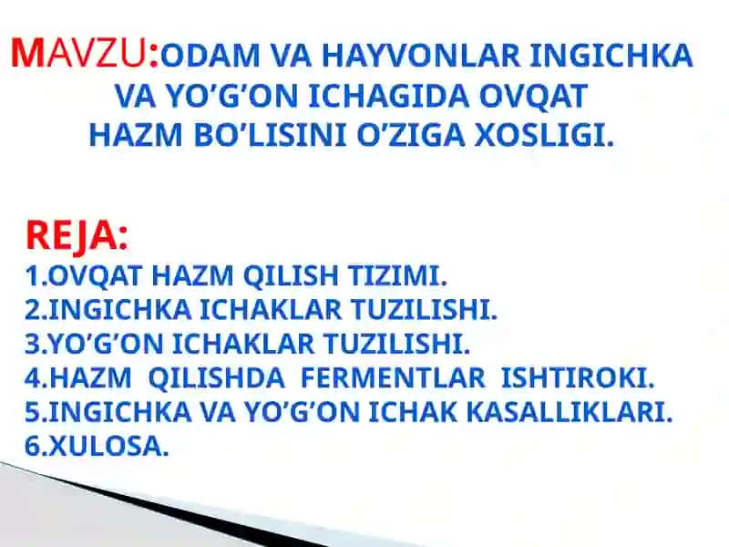 Odam va hayvonlar ingichka Va yo’g’on ichagida ovqat Hazm bo’lisini o’ziga xosligi 2
