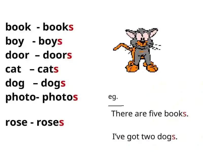 Singular & Plural Nouns 2