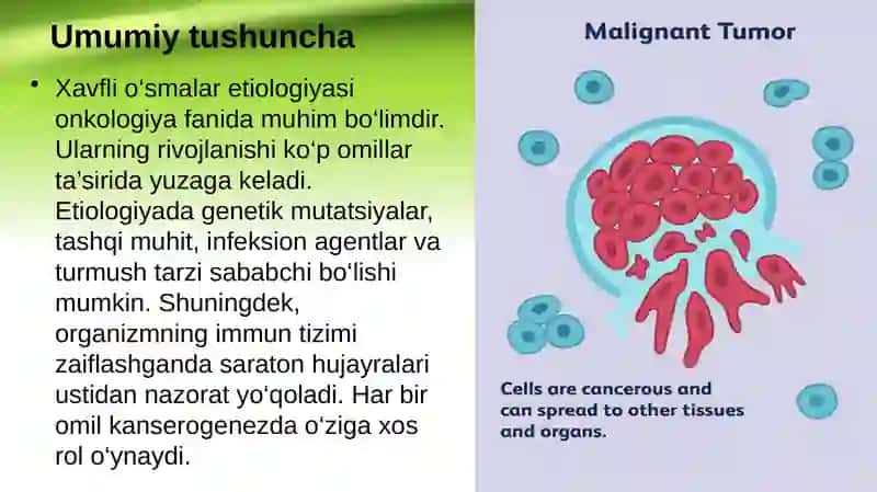 Xavfli o’smalar etiologiyasi 2