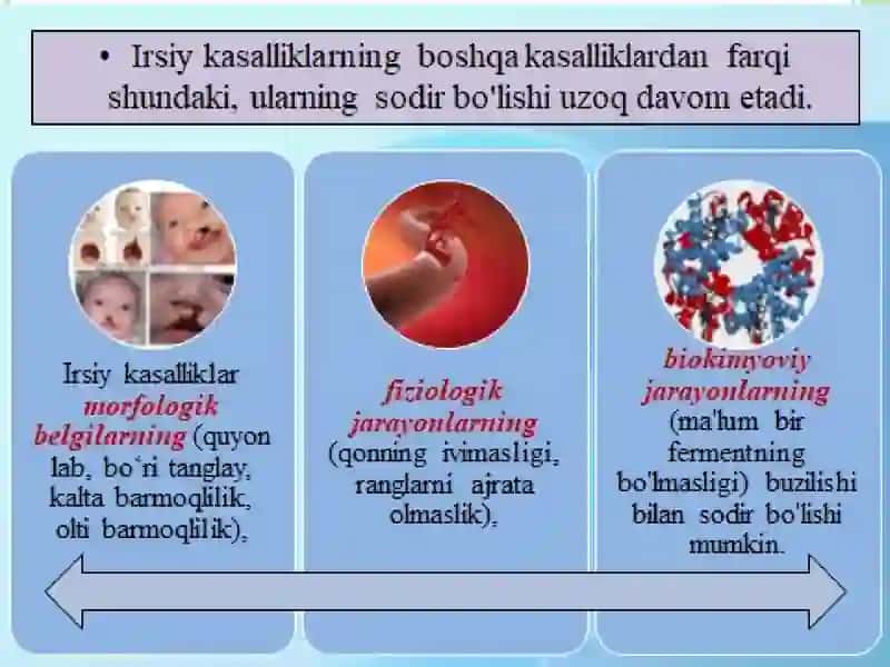 Amaliy mashg’ulot: Gen kasalliklari. Odamlar normal va patologik belgilarning irsiy ko'rsatilishi 2