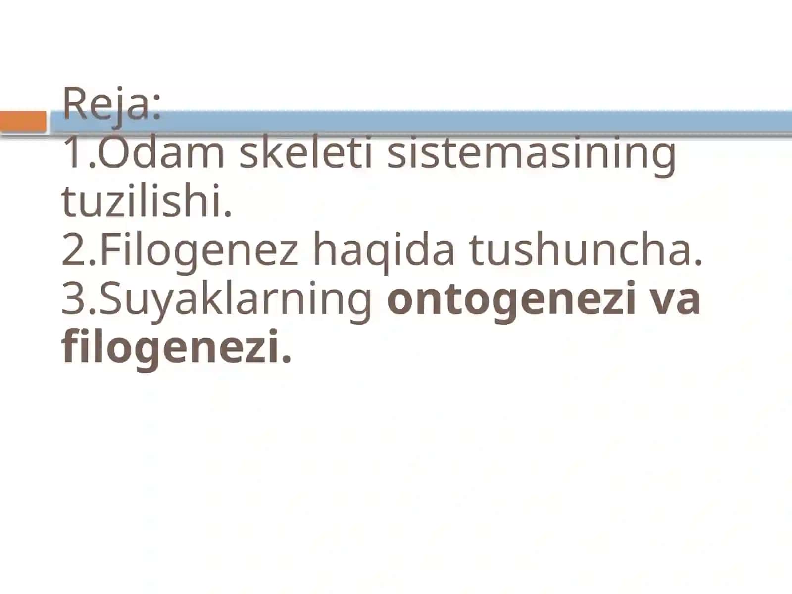 Skeletsistemasining filogenezi 2