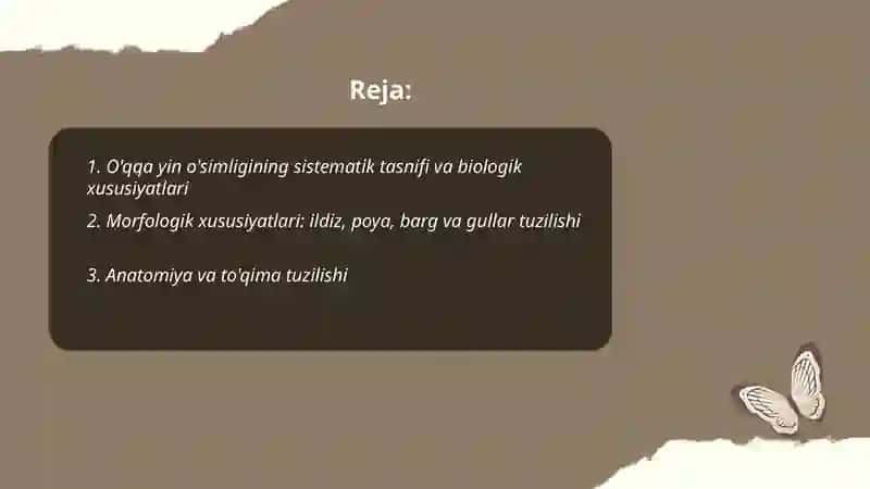 O'qqa yin o‘simligining botanik tavsifi va yetishtirish texnologiyasi 2