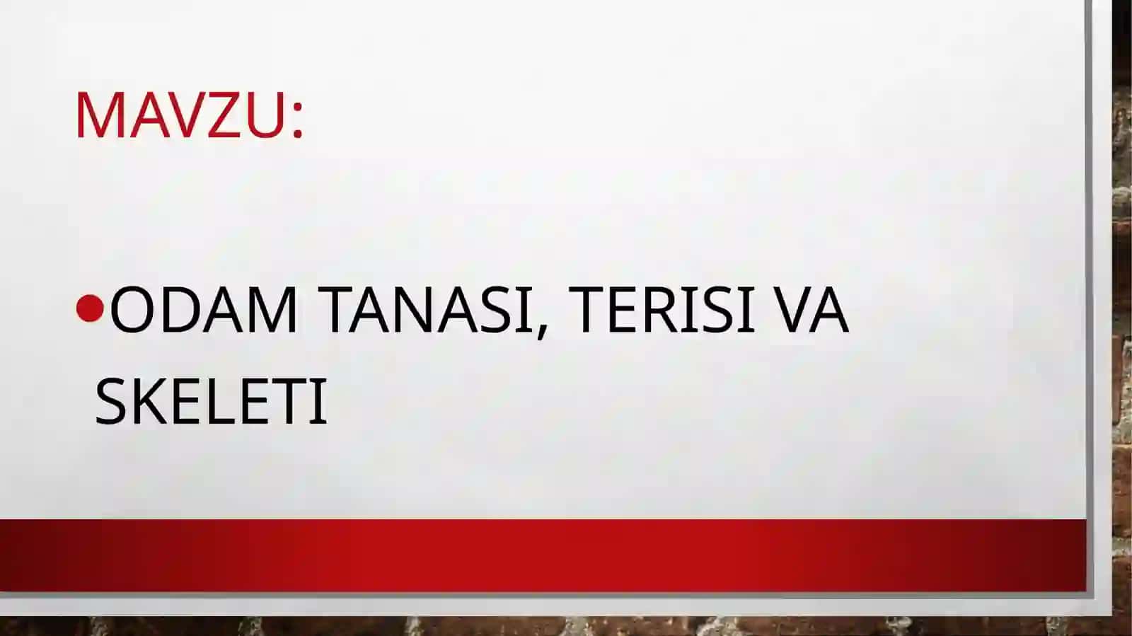 3-sinf Tabiatshunoslik fanidan Odam tanasi, terisi va skeleti dars taqdimoti 2