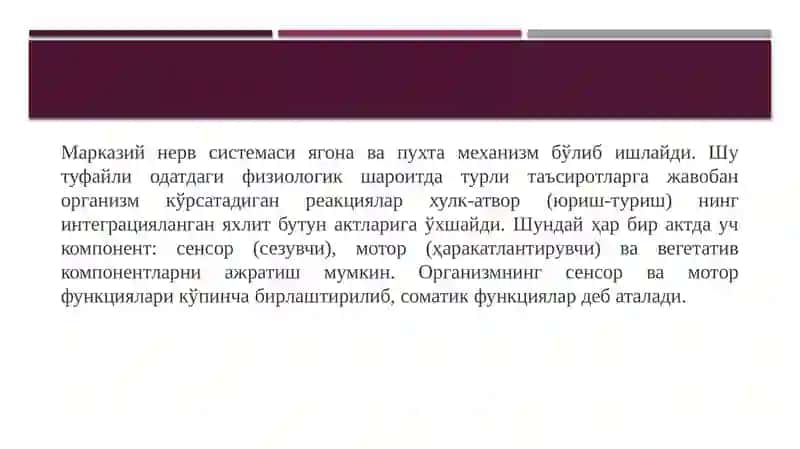 Марказий нерв системаси функциялари 2