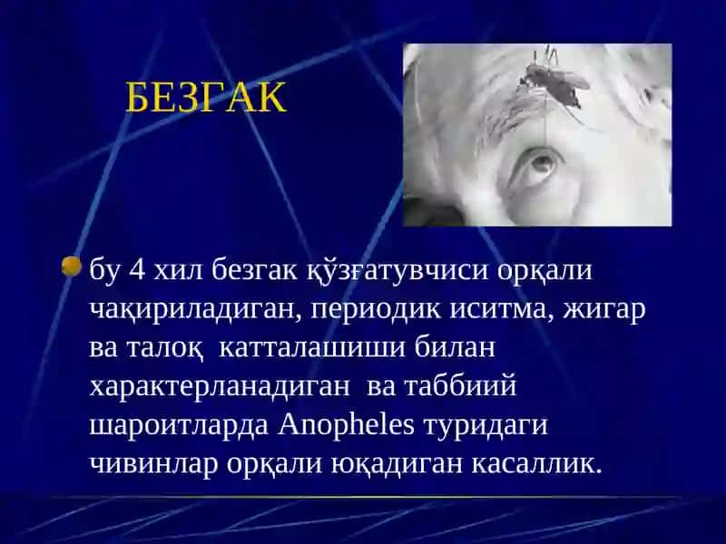 Безгак 2