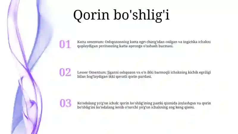 Qorin Parda BoʻShligʻIning Pastki Qavati A'Zolari Topografik Anatomiyasi 2