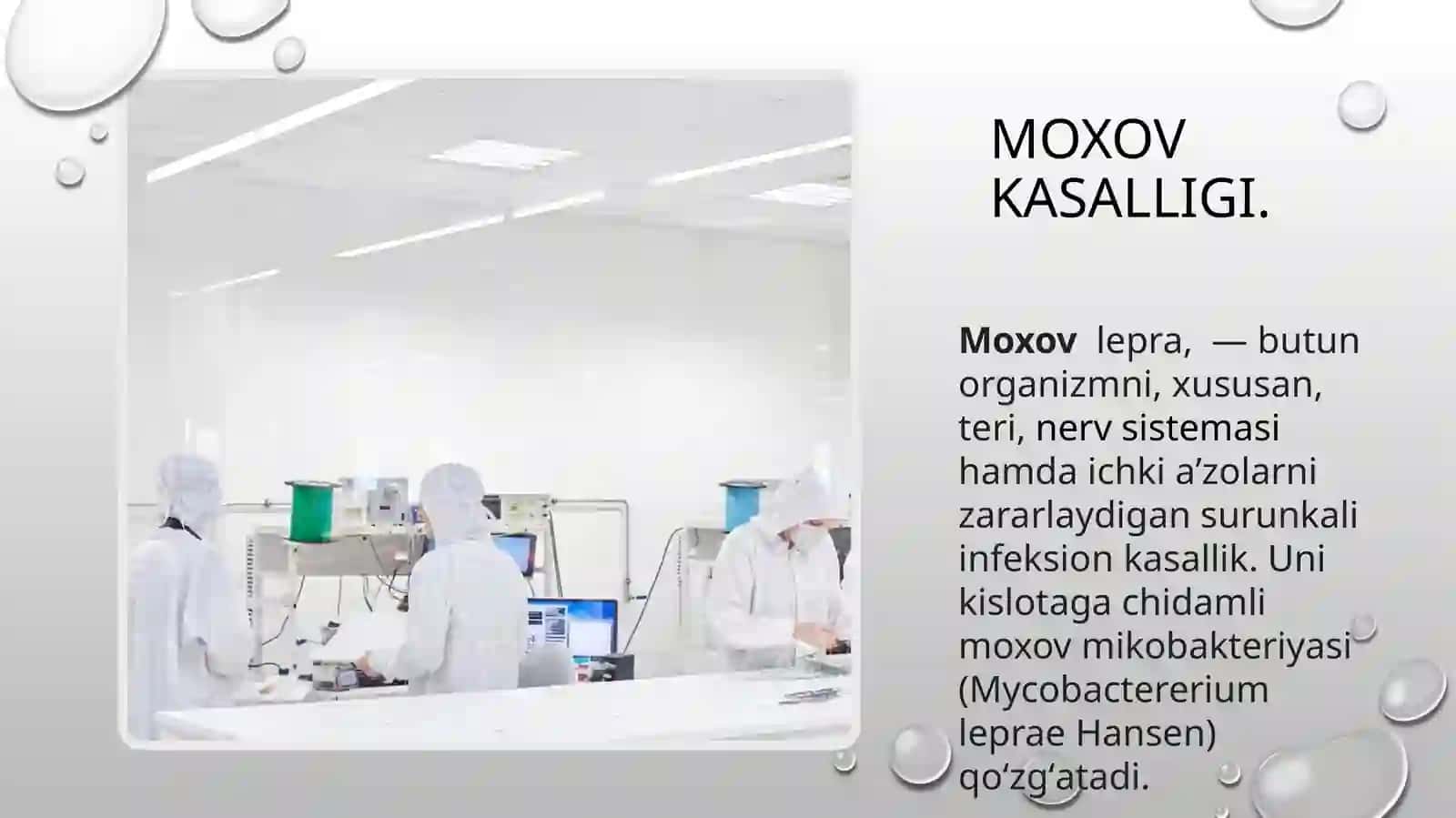 Moxov kasalligi 2