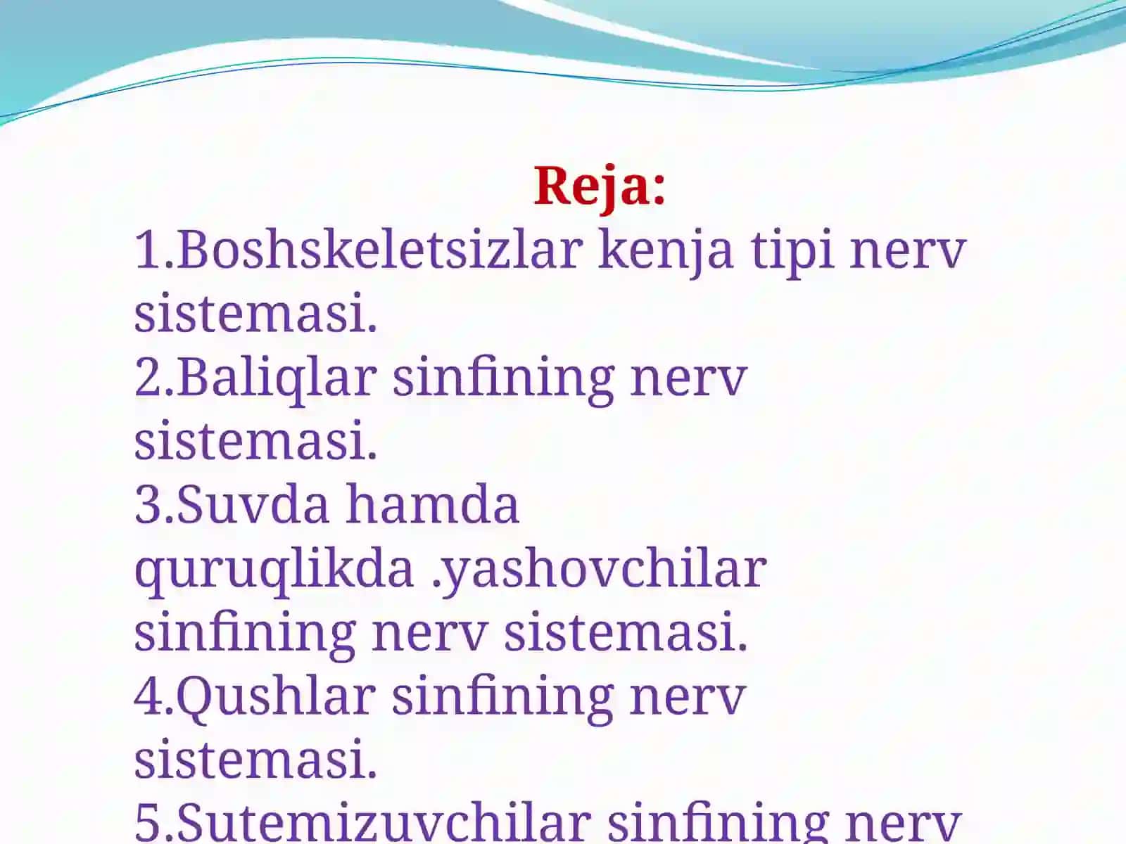 Umurtqalilarmarkaziyasabtiziminingtuzilishi 2