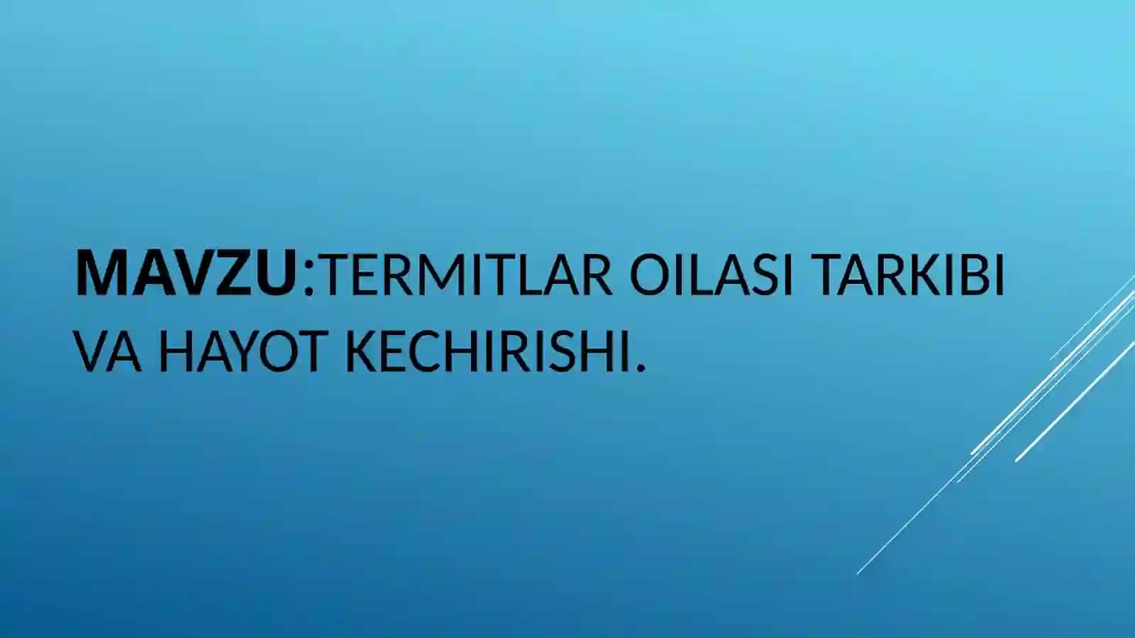 Termitlar oilasi tarkibi va hayot kechirishi 2