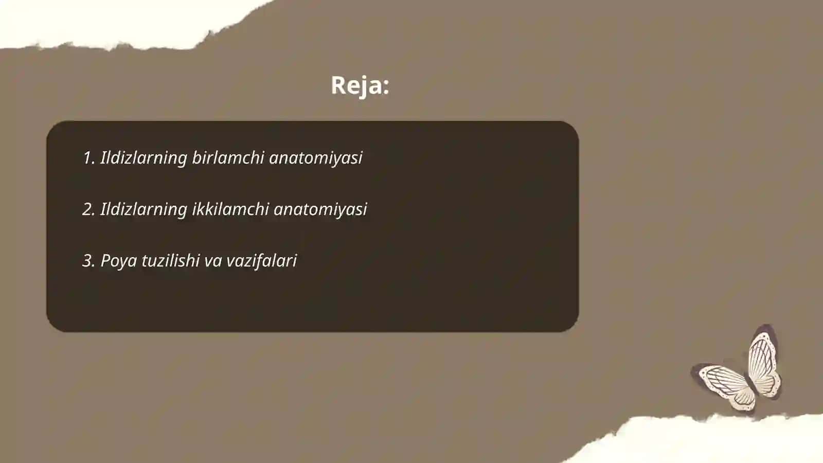 Ildizlarning birlamchi va ikkilamchi anatomik tuzilishi 2