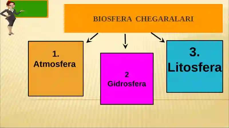 BIOSFERA CHEGARALARI 2