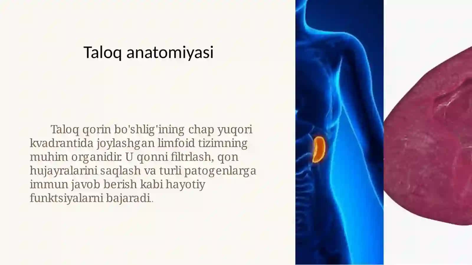 SPLENEKTOMIYA 2