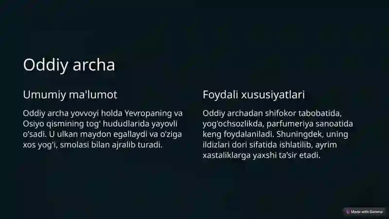 Oddiy archa 2