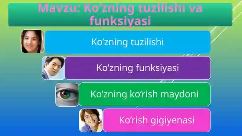 KO`ZNING TUZILISHI VA FUNKSIYALARI 2