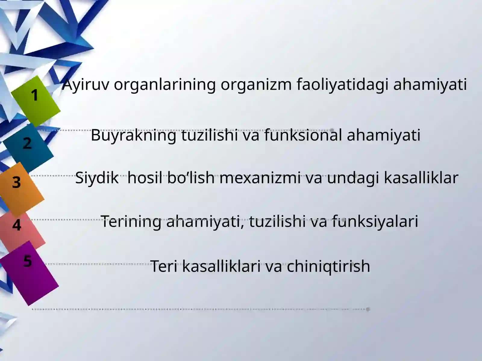 Ayiruv organlarining yosh xususiyatlari, teri tuzilishi va funksiyalari, gigiyenasi 2