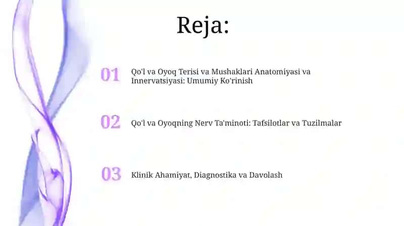 Qoʻl va Oyoq Terisi va Mushaklari Anatomiyasi va Innervatsiyasi: Umumiy Ko'rinish 2