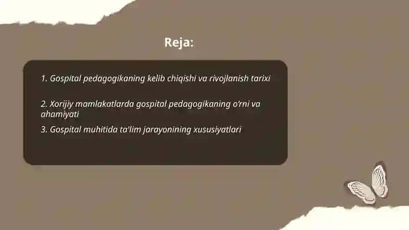 Xorijiy mamlakatlarda gospital pedagogika anʼanalari va xususiyatlari 2