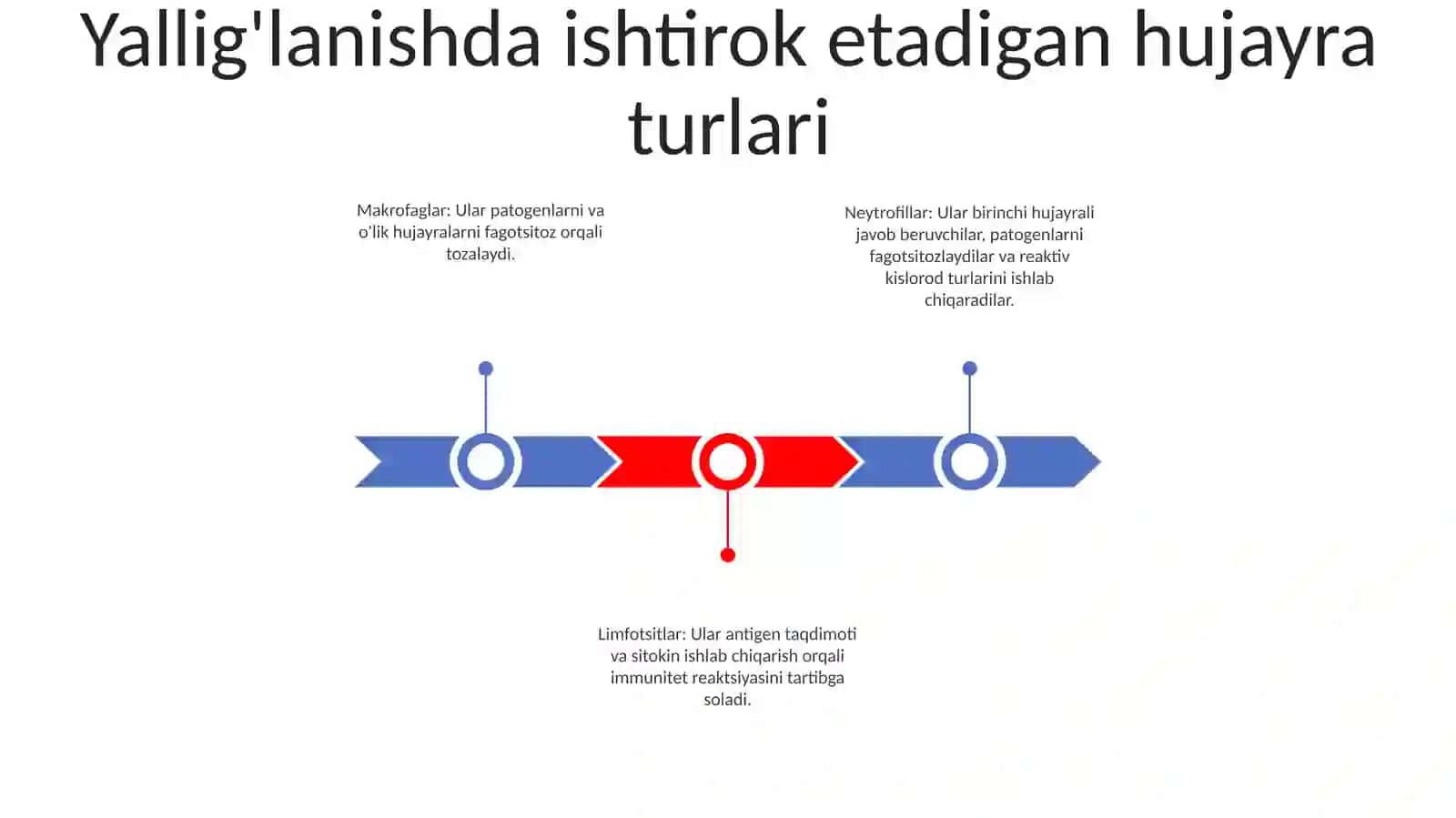 Yallig'lanish Reaksiyasi Paytida Hujayralarning Ozaro Tasiri 2