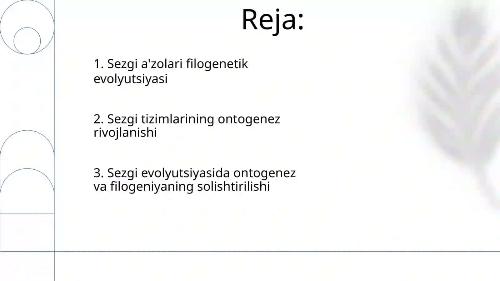 Asab tizimi va sezgi organlari onto-filogenezi 2