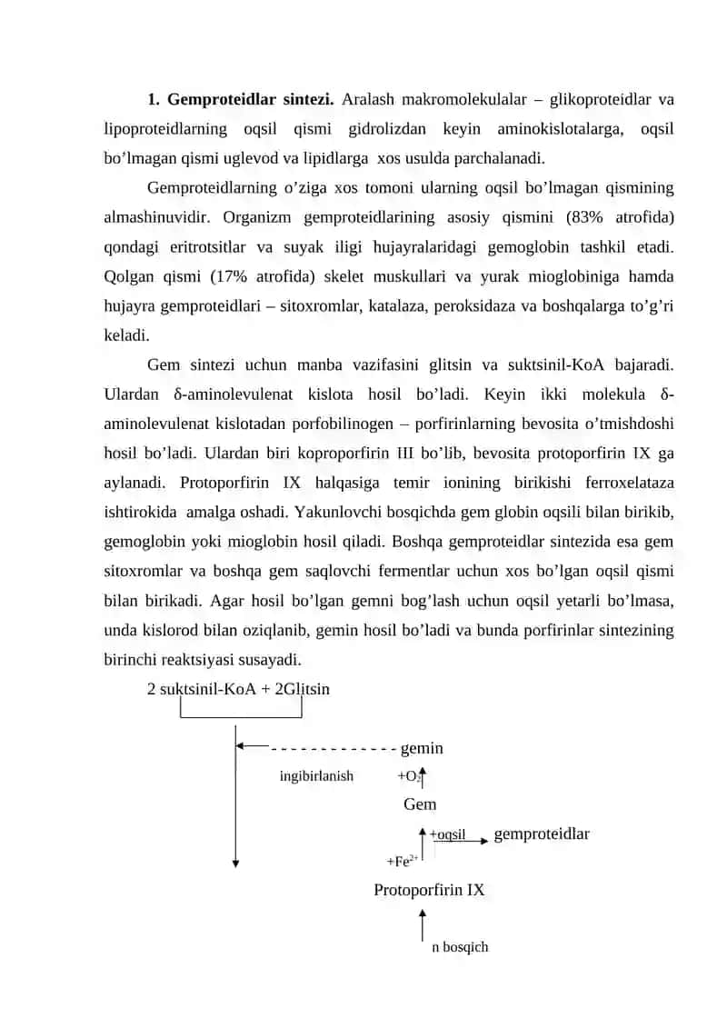 Gemproteid va nukleoproteidlar sintezi va parchalanishi 2