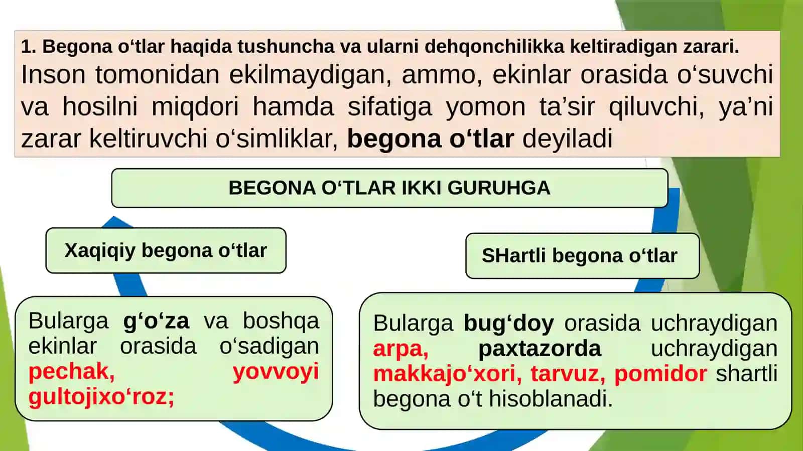“Organik dehqonchilik va o’rmon melioratsiya” si F.Asatillayev: Begona o‘tlar, ularning zarari va biologik xususiyatlari 2