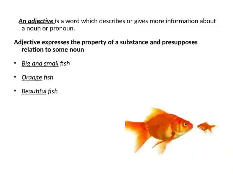 Adjective 2