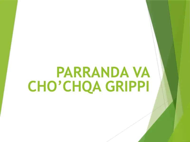 Parranda grippi 2