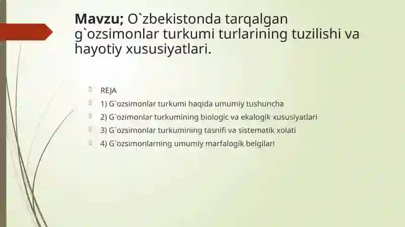 G`ozsimonlarturkumi 2