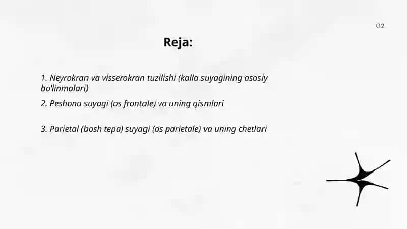 Buttun Kalla suyagi va uning qismlari 2