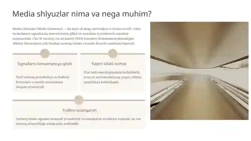 AMG, TMG, UMG,DSLAM media shlyuzlarining xarakteristikalari 2