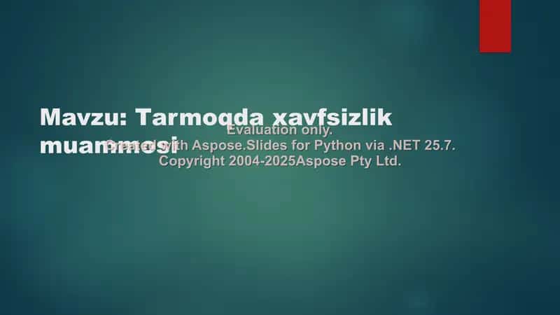 Xavfsizlik muammosi 2