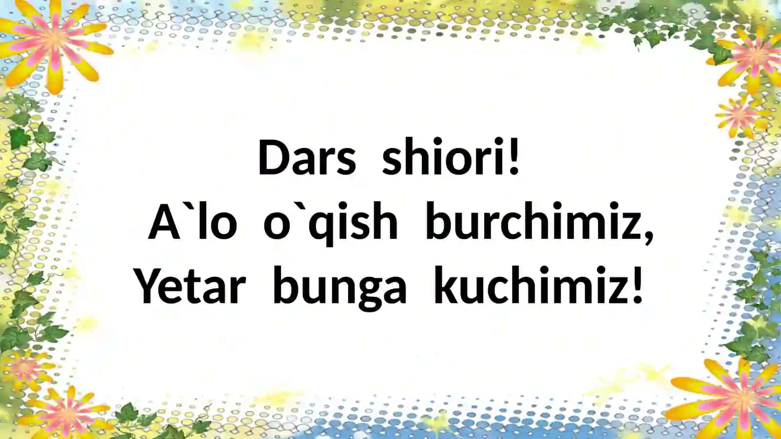 YAYLOV ROHATI 2