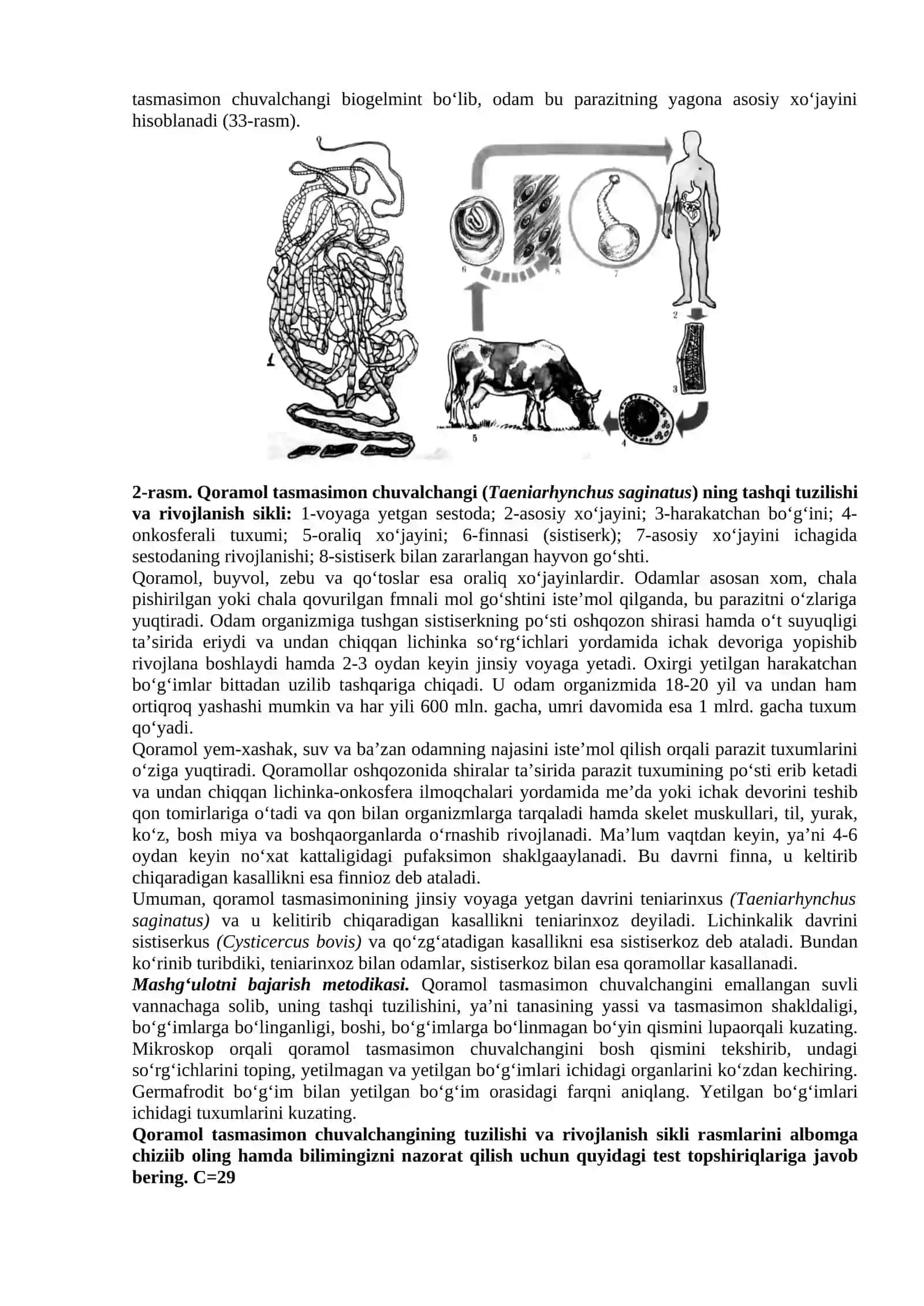 Qoramol (Taeniarhynchus saginatus) va cho‘chqa (Taenia solium) tasmasimon chuvalchanglarining tuzilishi va rivojlanishi 2