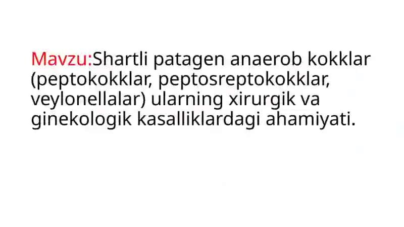 Shartlipatagen anaerob kokklar (peptokokklar, peptostreptokokklar, veylonellalar) ularning xirurgik vaginekologik kasalliklarda gi ahamiyati 2