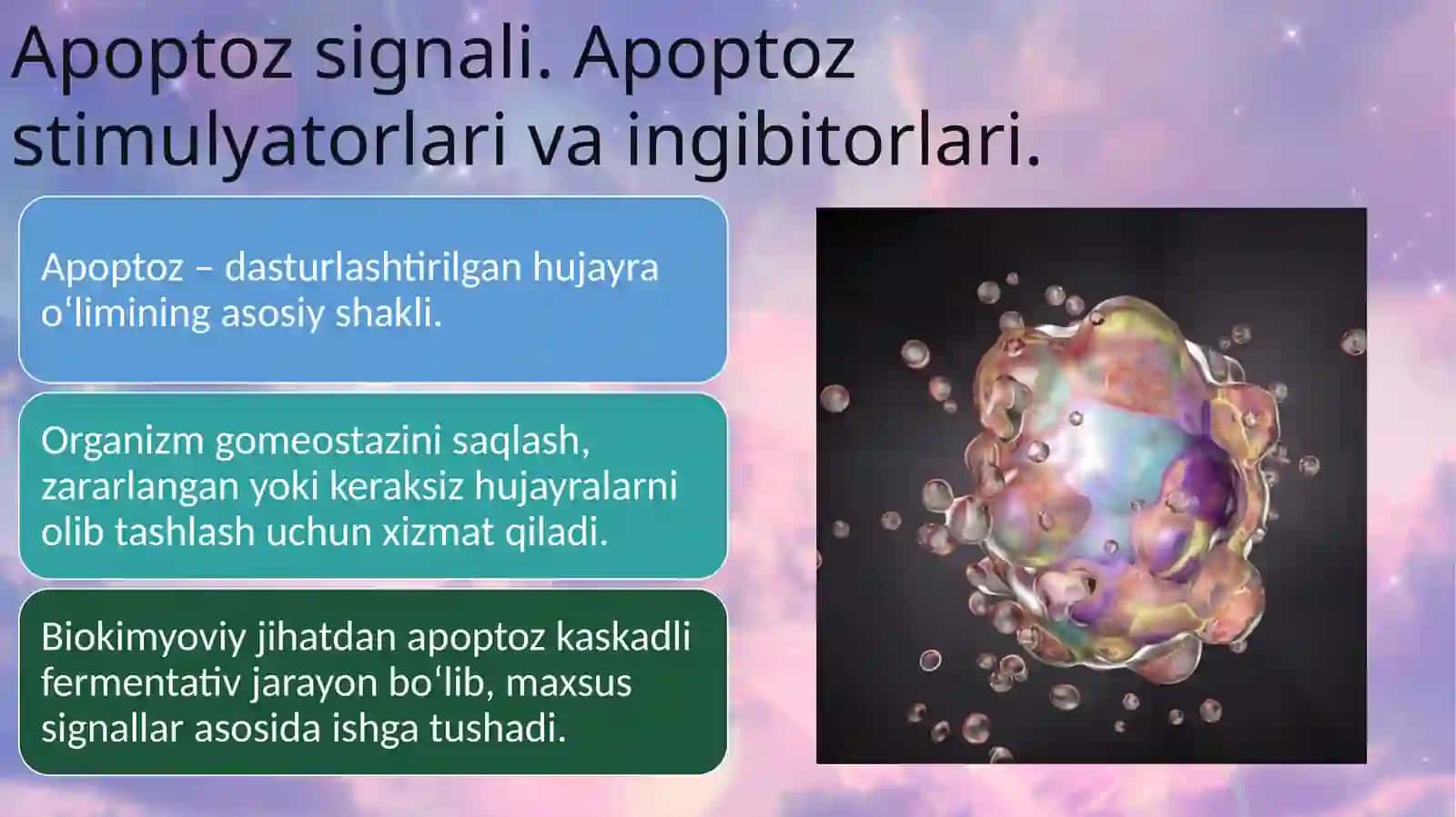 Аpoptoz «ulish signali» ekanligi toʼgʼrisida. 2