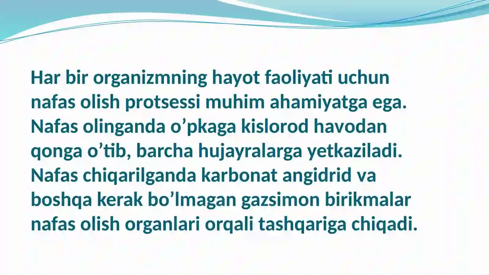 Òpka palpatsiyasi 2