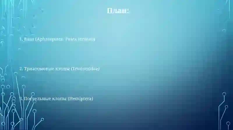 Aphaniptera: Pulex irritans 2