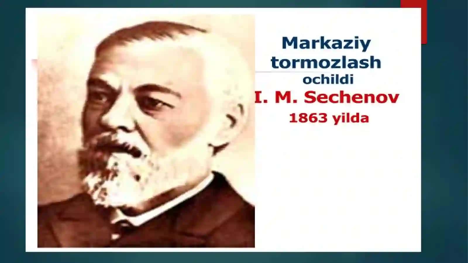 7-Ma’ruza: Markaziy asab tizmining ishlashining muvofiqlashtiruvchi tamoyillar. Tormozlanishturlari 2