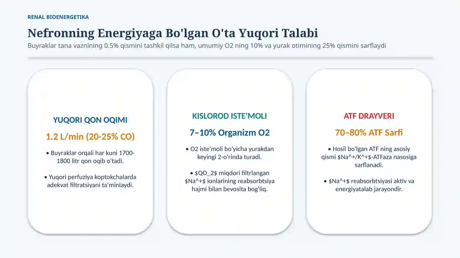 Buyrakning energiya bilan ta’minlanishi — 15 slayd 2