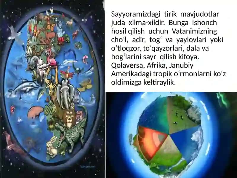 Tirikorganizmlarning o‘zigaxos xususiyatlari 2